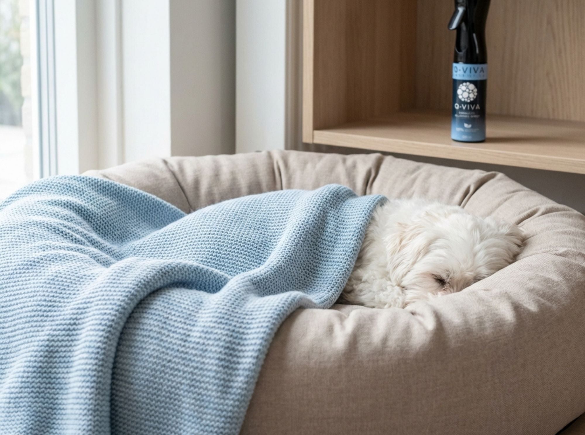 Q-Viva Allergen Spray bij een hond in een huisdierenmand die gebruik op huisdiertextiel toont waar allergenen zich kunnen ophopen